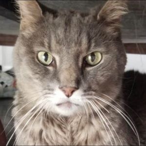 Meet your Posher, Noah